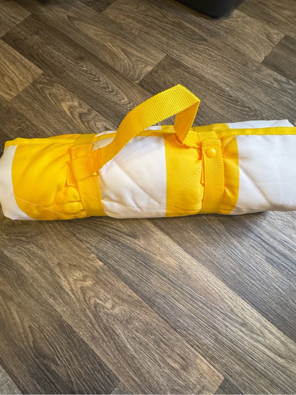 Yellow and White Striped Picnic Roll-Up Blanket with Carry Strap